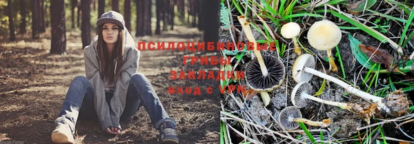 СК Абаза