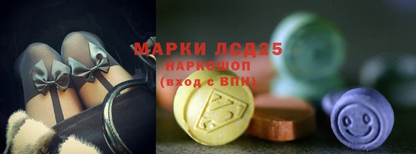 СК Абаза